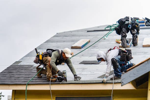 Professional Roofing technician working in Langlois, OR